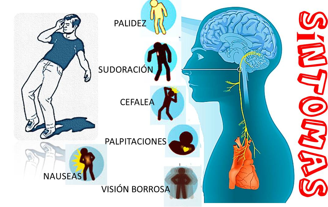 EL SÍNDROME VASOVAGAL: CAUSAS, SÍNTOMAS Y TRATAMIENTO