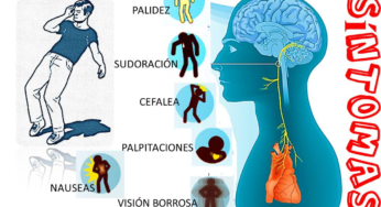 EL SÍNDROME VASOVAGAL: CAUSAS, SÍNTOMAS Y TRATAMIENTO