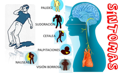 EL SÍNDROME VASOVAGAL: CAUSAS, SÍNTOMAS Y TRATAMIENTO